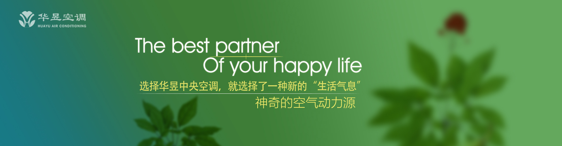 千载一时网